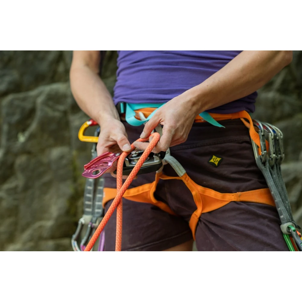 Petzl Neox Assisted Blocking Limited Edition Belay Device