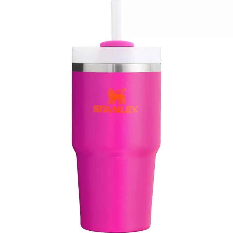 Stanley 20 Oz. Quencher H2.0 Flowstate Tumbler