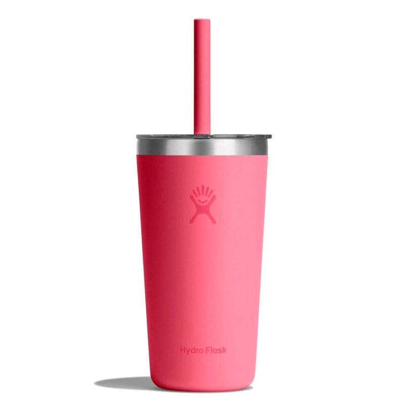 Hydro Flask 20 oz All Around™ Tumbler with Straw Lid