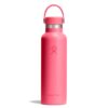 Popstar Pink
