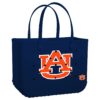 Auburn Tigers