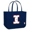 Illinois Fighting Illini