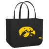 Iowa Hawkeyes