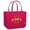 Iowa State Cyclones