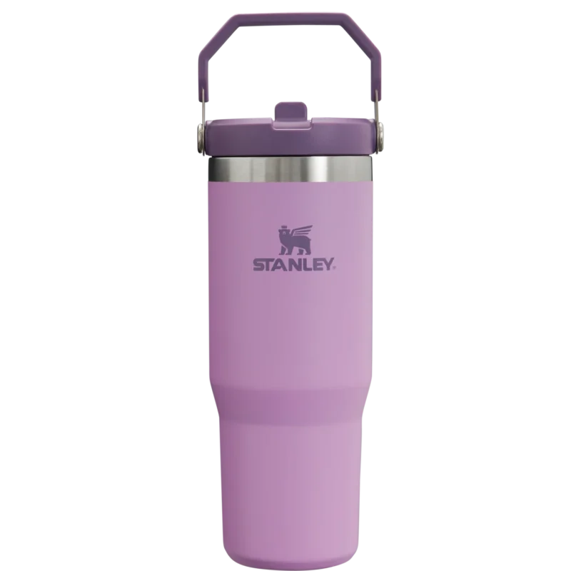 Stanley The IceFlow Flip Straw Tumbler | 30 OZ | Insulated Water Bottle